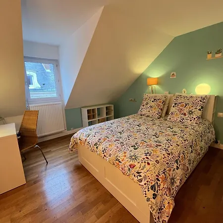 Le Nuancier - Garage - Jardin 10 Pers Nyaraló Le Mans